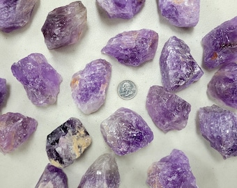 May include: A collection of 15 raw amethyst crystals in various sizes and shapes. The crystals are a deep purple color and have a natural, rough texture. A US quarter is included for scale.