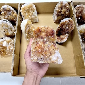 Citrine Crystal Cut Base Geode Standing Large Clusters