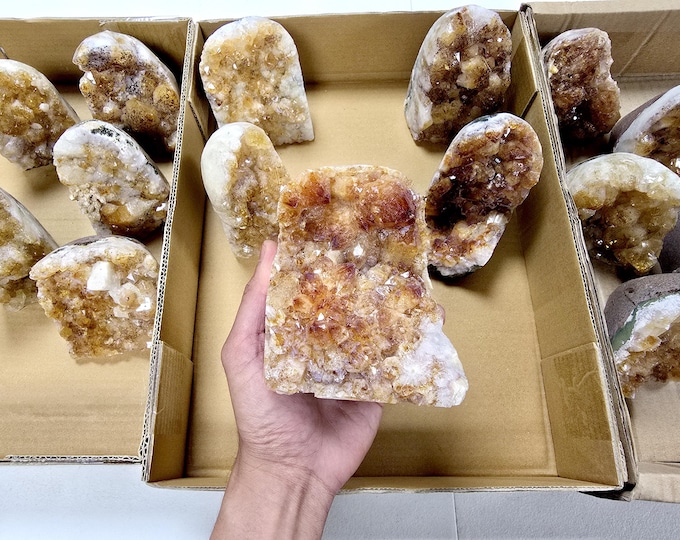 Citrine Crystal Cut Base Geode Standing Large Clusters