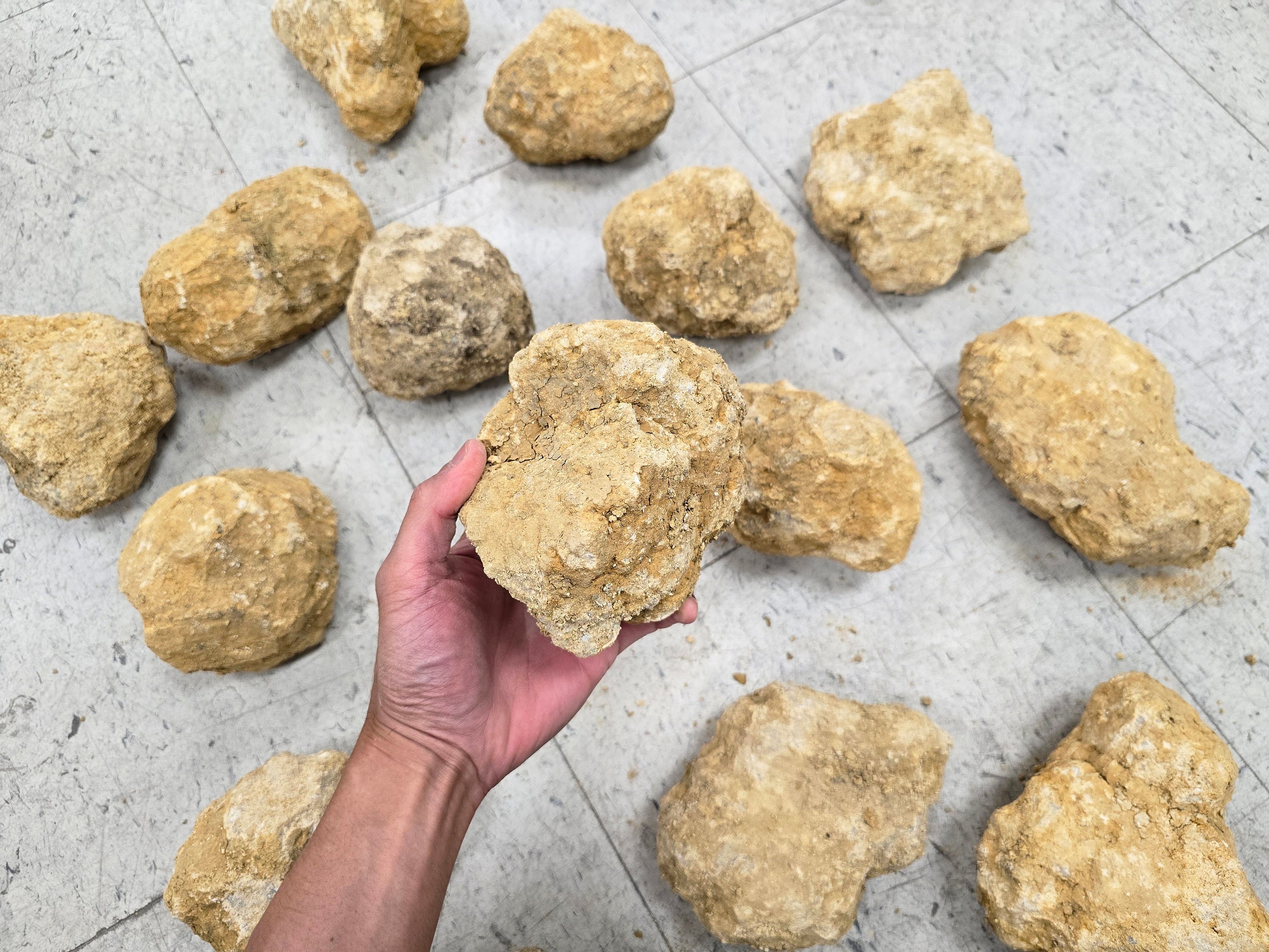 GIANT Quartz Geode Crack & Break Your Own, Unopened Big Crystals