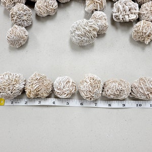 Puede incluir: Una fila de siete cristales de rosa del desierto de color marr&oacute;n claro y blanco, cada uno de unos 5 cm de di&aacute;metro, alineados sobre una superficie blanca con una cinta m&eacute;trica.