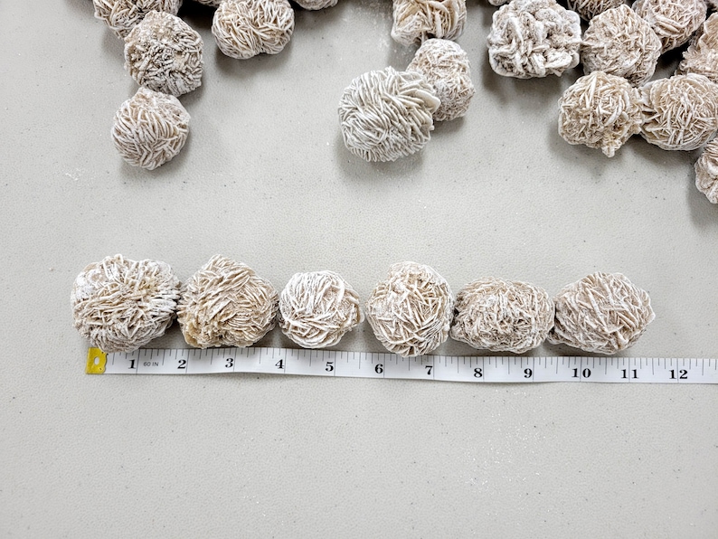 Puede incluir: Una fila de siete cristales de rosa del desierto de color marr&oacute;n claro y blanco, cada uno de unos 5 cm de di&aacute;metro, alineados sobre una superficie blanca con una cinta m&eacute;trica.