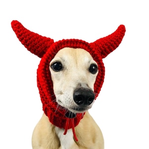 Knitted Devil Hat for Dog, Gift for Dog Lover
