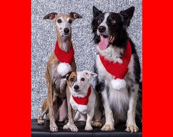 dog holiday scarf