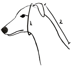 Dog Snood Knitting Pattern, PDF Instant Download, Knitted Dog Hat Pattern image 3
