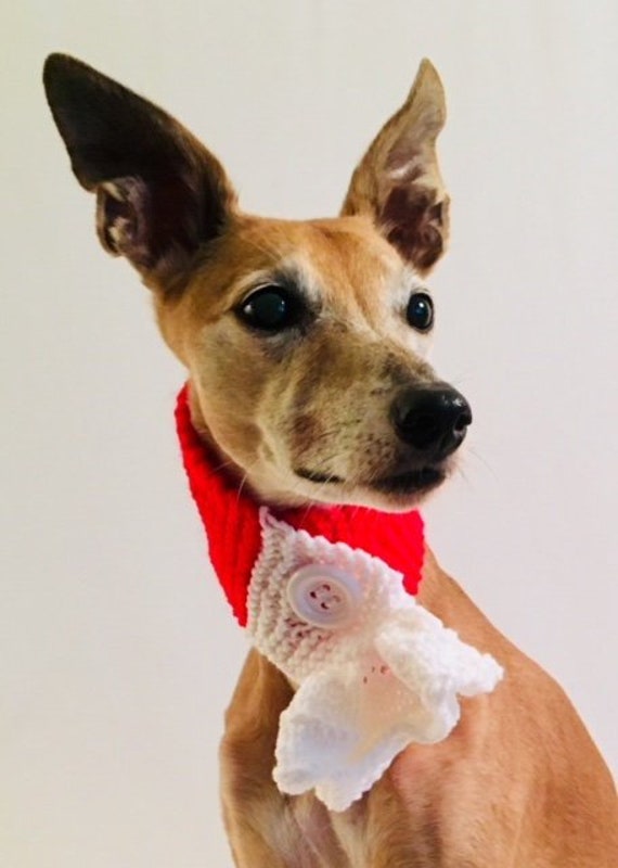 dog holiday scarf
