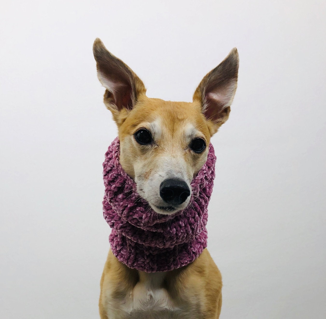 Knitted Velvet Neck Warmer Scarf for Dog Gift for Dog Etsy