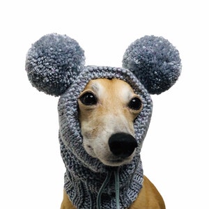 Dog Snood Knitting Pattern, PDF Instant Download, Knitted Dog Hat Pattern image 5