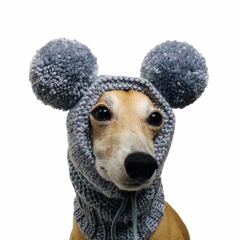 Dog Snood Knitting Pattern, PDF Instant Download, Knitted Dog Hat Pattern image 5