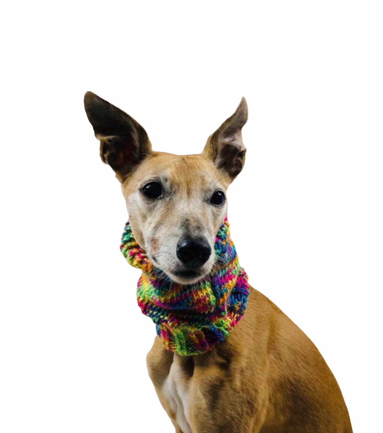 Rainbow Knitted Neck Warmer Scarf for Dog Gift for Dog Etsy