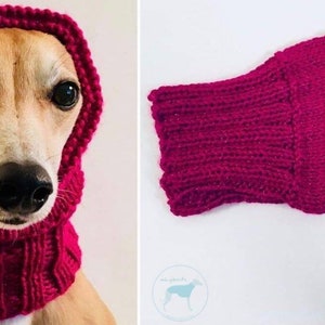 Dog Snood Knitting Pattern, PDF Instant Download, Knitted Dog Hat Pattern image 4