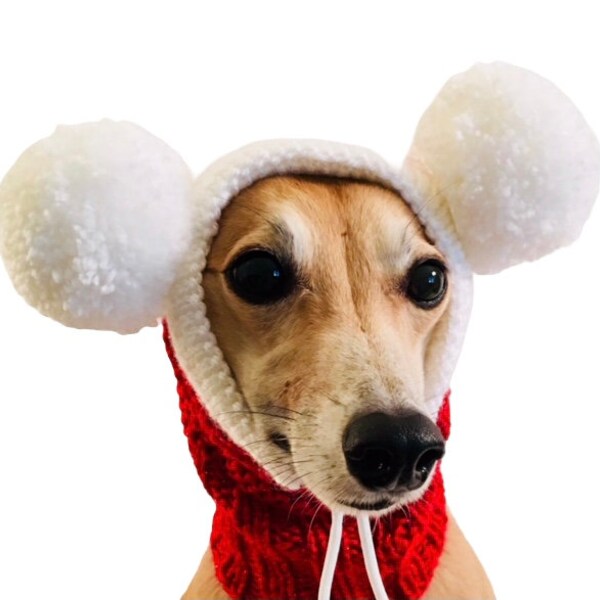 Dog Santa Hat Etsy