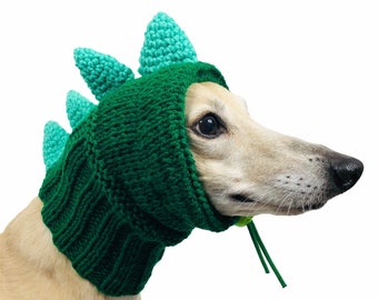 dog with dinosaur hat