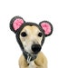 see more listings in the Fun Dog Hats section
