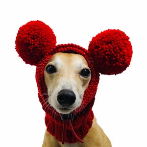 Dog Snood Knitting Pattern, PDF Instant Download, Knitted Dog Hat Pattern image 7