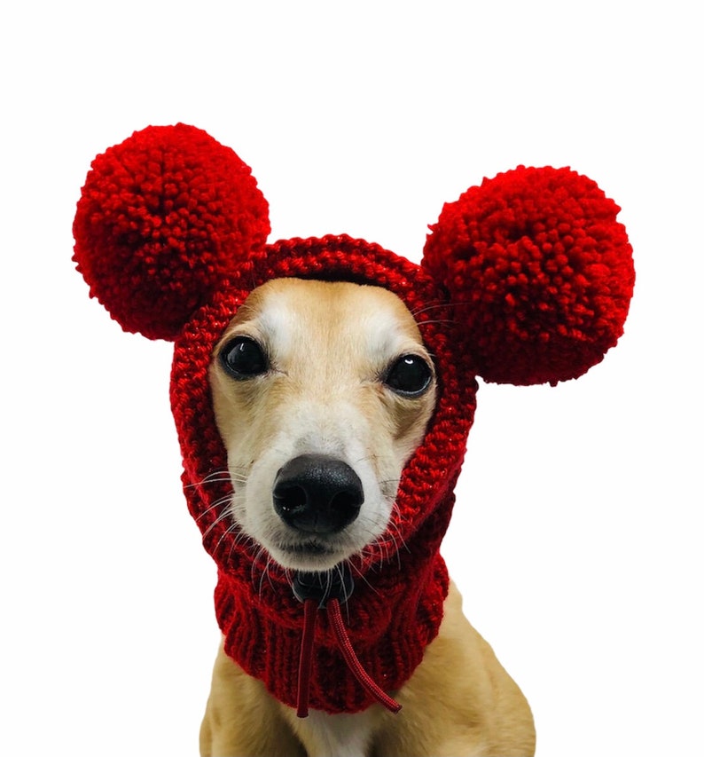 Dog Snood Knitting Pattern, PDF Instant Download, Knitted Dog Hat Pattern image 7