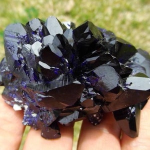 Museum Quality | XL Terminated Azurite Crystal Cluster from Milpillas, Mexico | Rare Terminated Azurite Blades | Large Cabinet