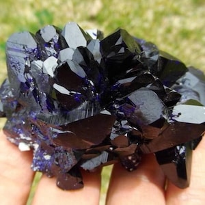 Museum Quality | XL Terminated Azurite Crystal Cluster from Milpillas, Mexico | Rare Terminated Azurite Blades | Large Cabinet