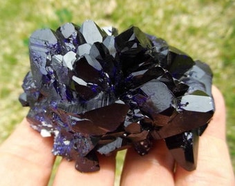 Museum Quality | XL Terminated Azurite Crystal Cluster from Milpillas, Mexico | Rare Terminated Azurite Blades | Large Cabinet