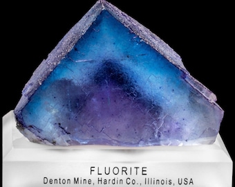 Museum Quality | Blue Fluorite with Purple phantom zoning - Denton Mine, Hardin Co., Illinois USA - Extremely rare color and size!