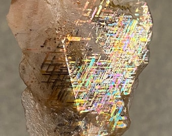 Famous Locality - Harts Range, Australia //Rainbow Lattice Sunstone