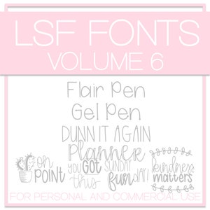LSF Schriften - Band 6
