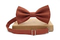 Terracotta Linen Bow Tie: Rusty Wedding Groomsmen Necktie