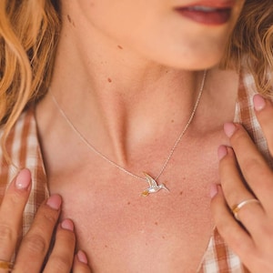 Hummingbird Necklace, Silver and Gold Hummingbird Necklace, Hummingbird