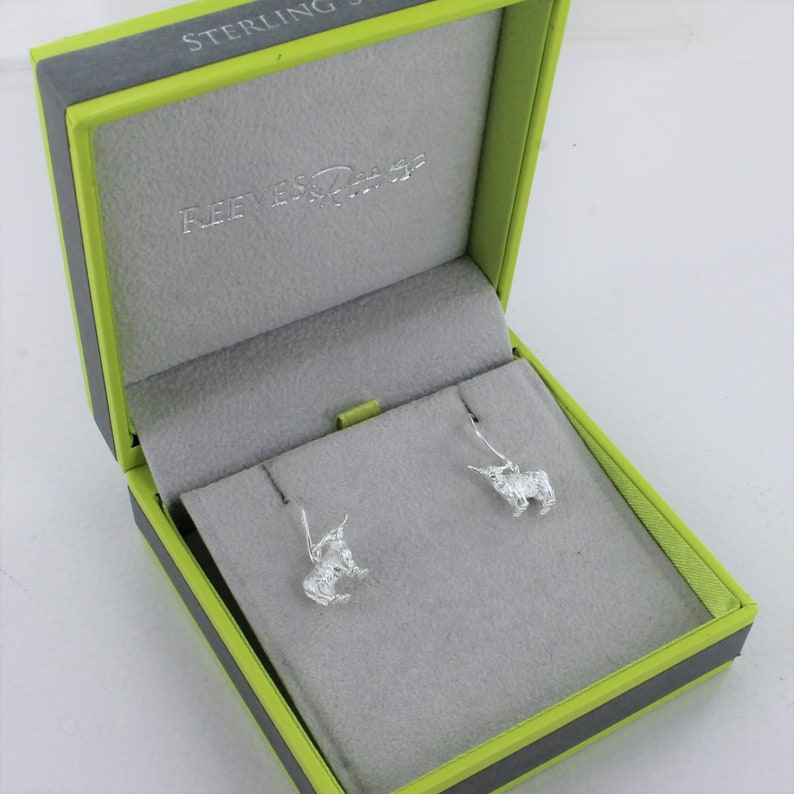 Cow Horn Drop Earrings main image 0