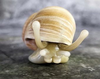 Peekaboo Snail TrailSnailz Mystical Snail Sculpture - Real Shell & Polymer Clay - Enchanting Woodland Miniat