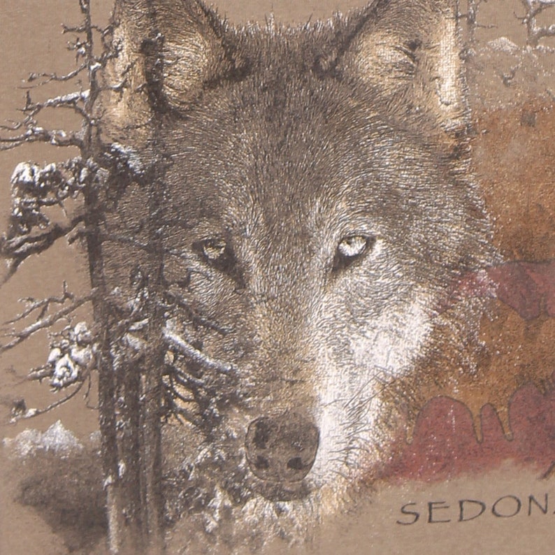 May include: A close-up of a wolf's face, with a silver-grey fur, looking directly at the viewer. The wolf's eyes are a deep brown, and its nose is black. The background is a blurry brown and red, with the word "SEDON" printed in the bottom right corner.