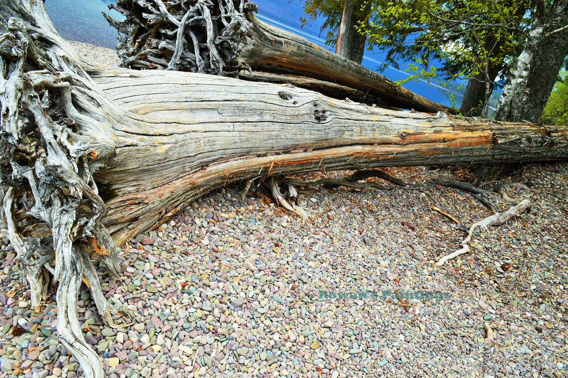 Nature Wall Art Nature Print Nature Photography Landscape | Etsy