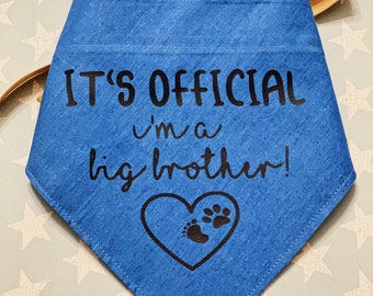 Big Brother Dog Bandana - pregnancy announcement, its a boy , baby blue , pregnant , dog accesories , dog brother , pawprint , human