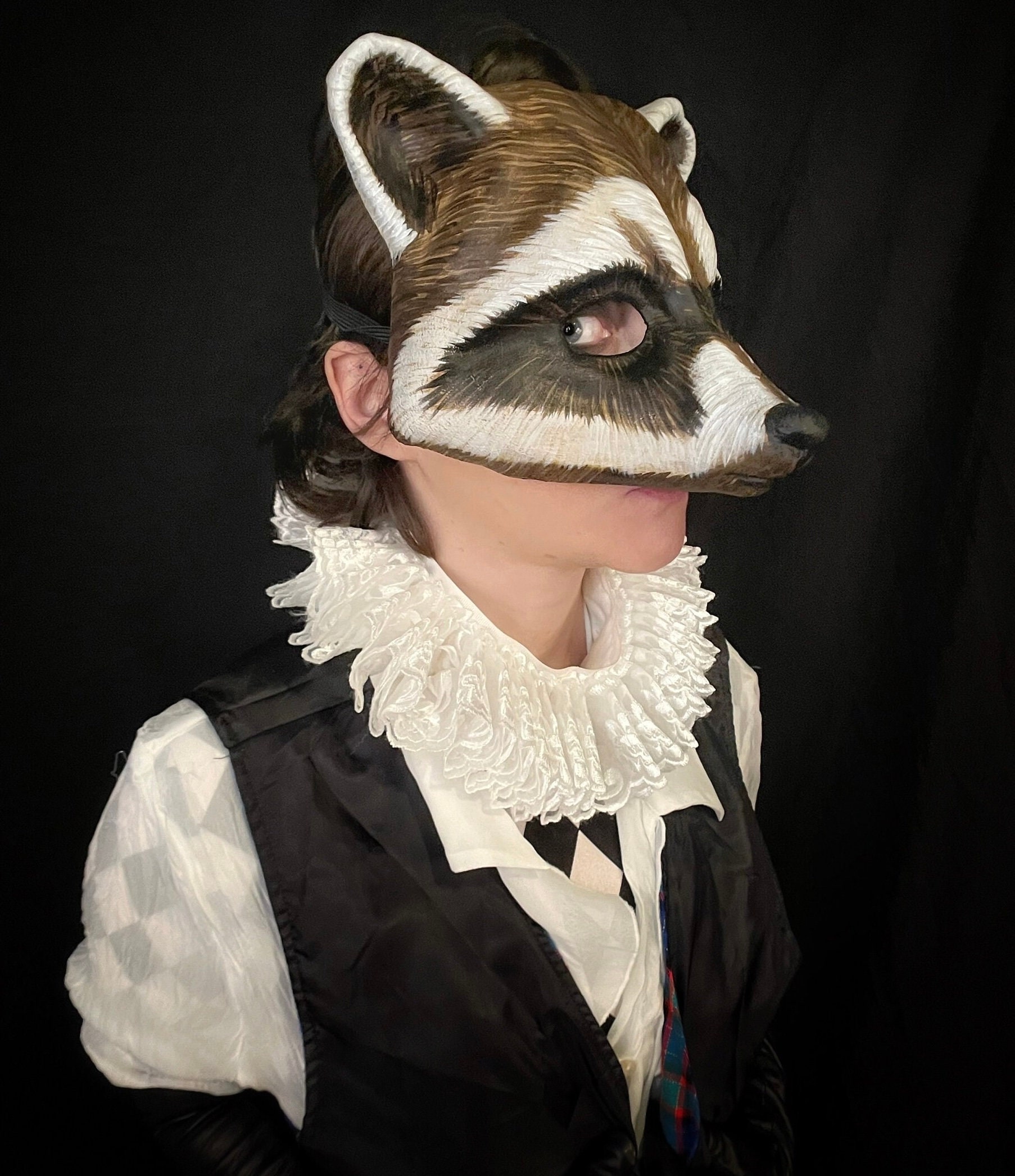 Woodland Raccoon Masquerade Mask for Halloween, Mardi Gras, Theater ...