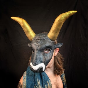 May include: A black bull mask with gold horns and a white painted mustache. The mask is worn by a person with long brown hair.
