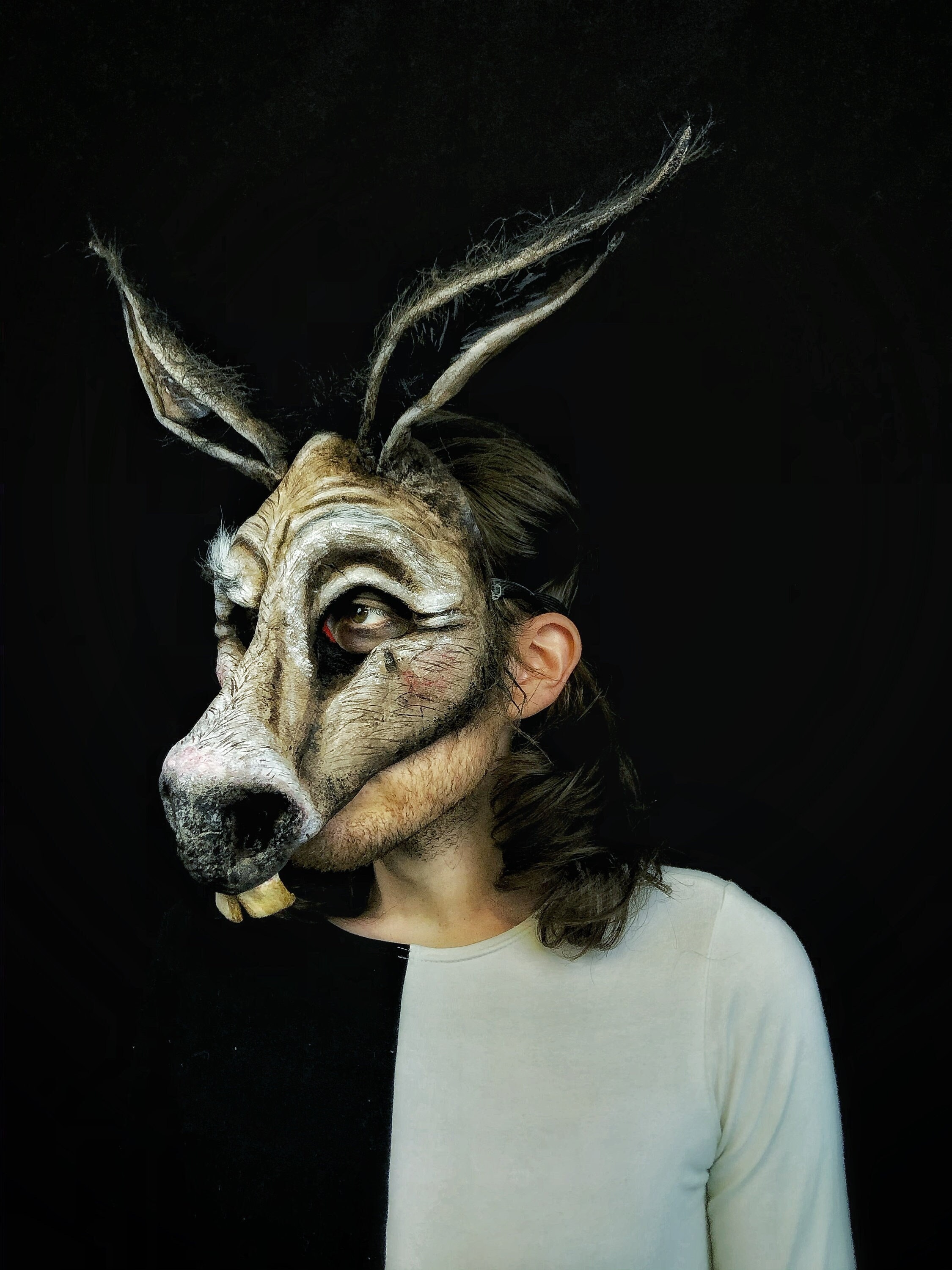 Sonho de Uma Noite de Verão | PDF | Sonho de uma Noite de Verão, image size:2250x3000