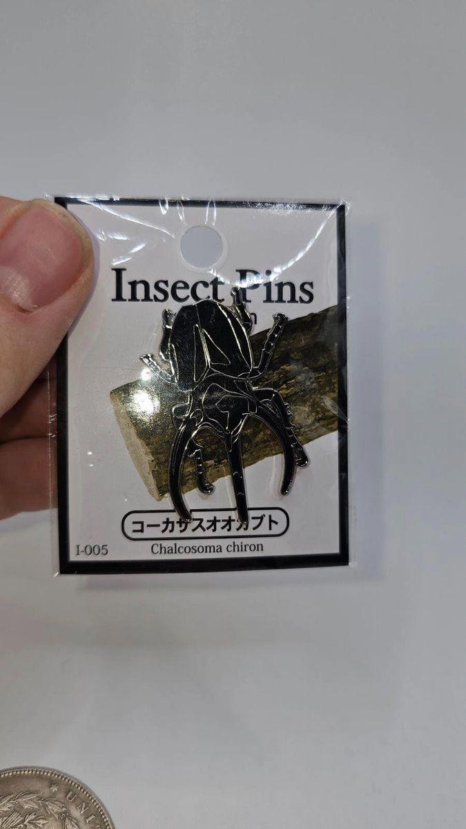 Chalcosoma Chiron Beetle Pin Badge