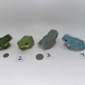 May include: Four frog figurines in shades of green, gray, and blue are displayed. Each frog is numbered on a small white tag. A coin is placed near the first and third frogs. The frogs vary in color and pose, showcasing a collection of amphibian decor.