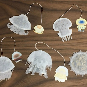 Jellyfish Tea Bag Gift Set - Ocean Teabag
