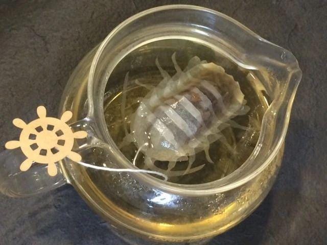 Isopod Oolong Tea ( Oriental Beauty ) - Ocean Teabag