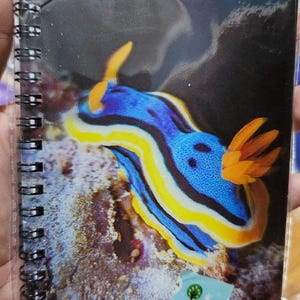Nudibranch / Sea Slug Notebook