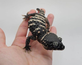 Realistic Knob-tailed Gecko Gachapon Figure