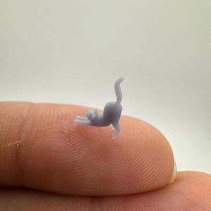 Nano Miniature Cat image 2