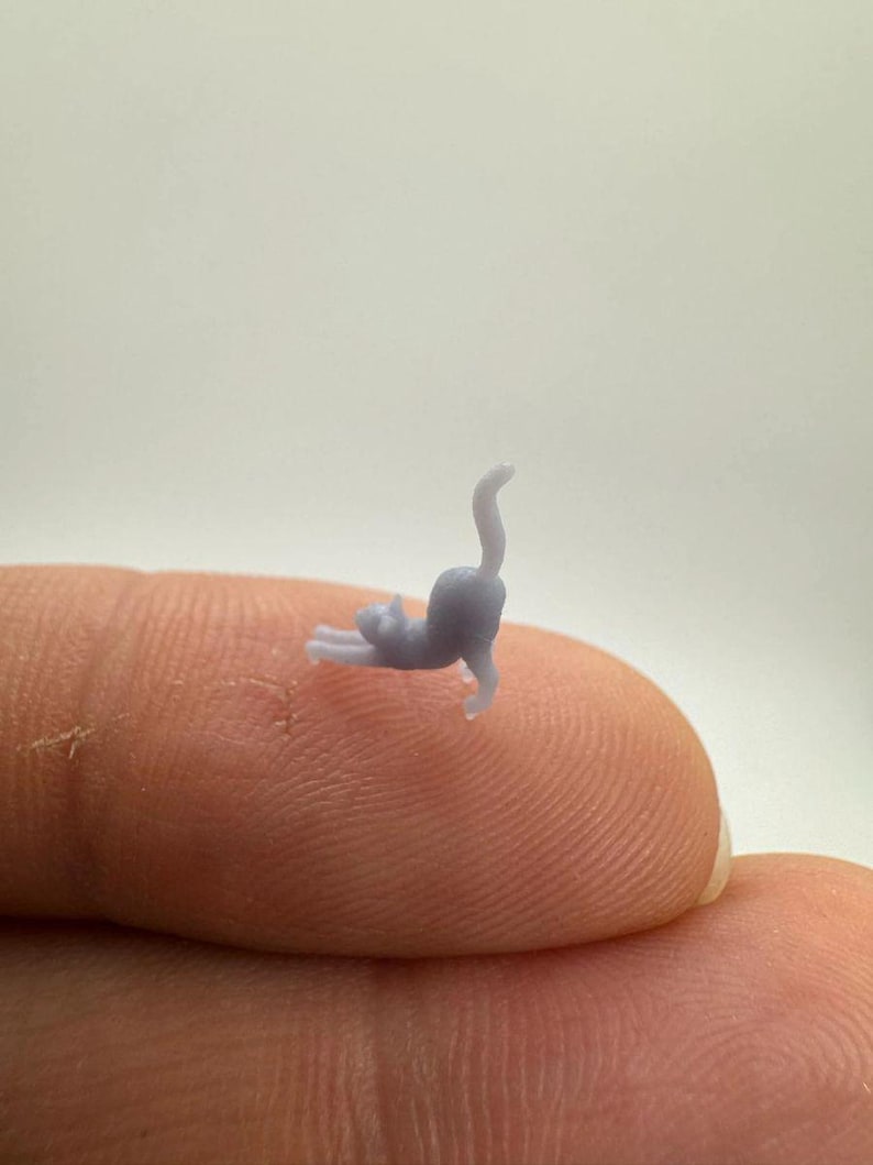 Nano Miniature Cat image 2