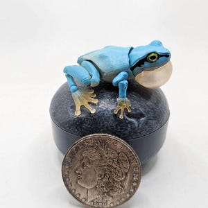 Tree Frog Gachapon Figure with Rock