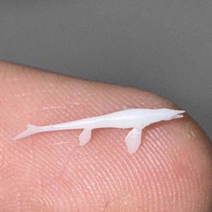 Nano Miniature Mosasaurus Dinosaur Figures