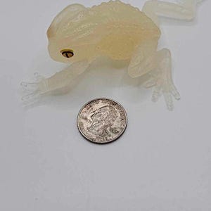 May include: A translucent white frog toy with a yellow eye. The frog is about the size of a US quarter.