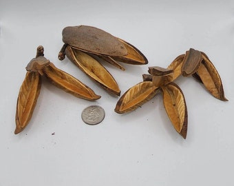 Soroco Pods