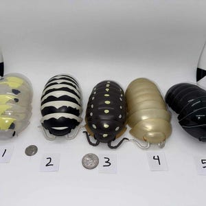 Bandai Dango Mushi Rare Isopod Figures Set 5 image 1