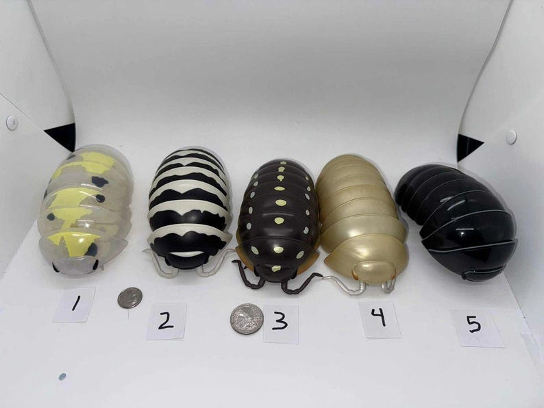 Bandai Dango Mushi Rare Isopod Figures Set 5 image 1